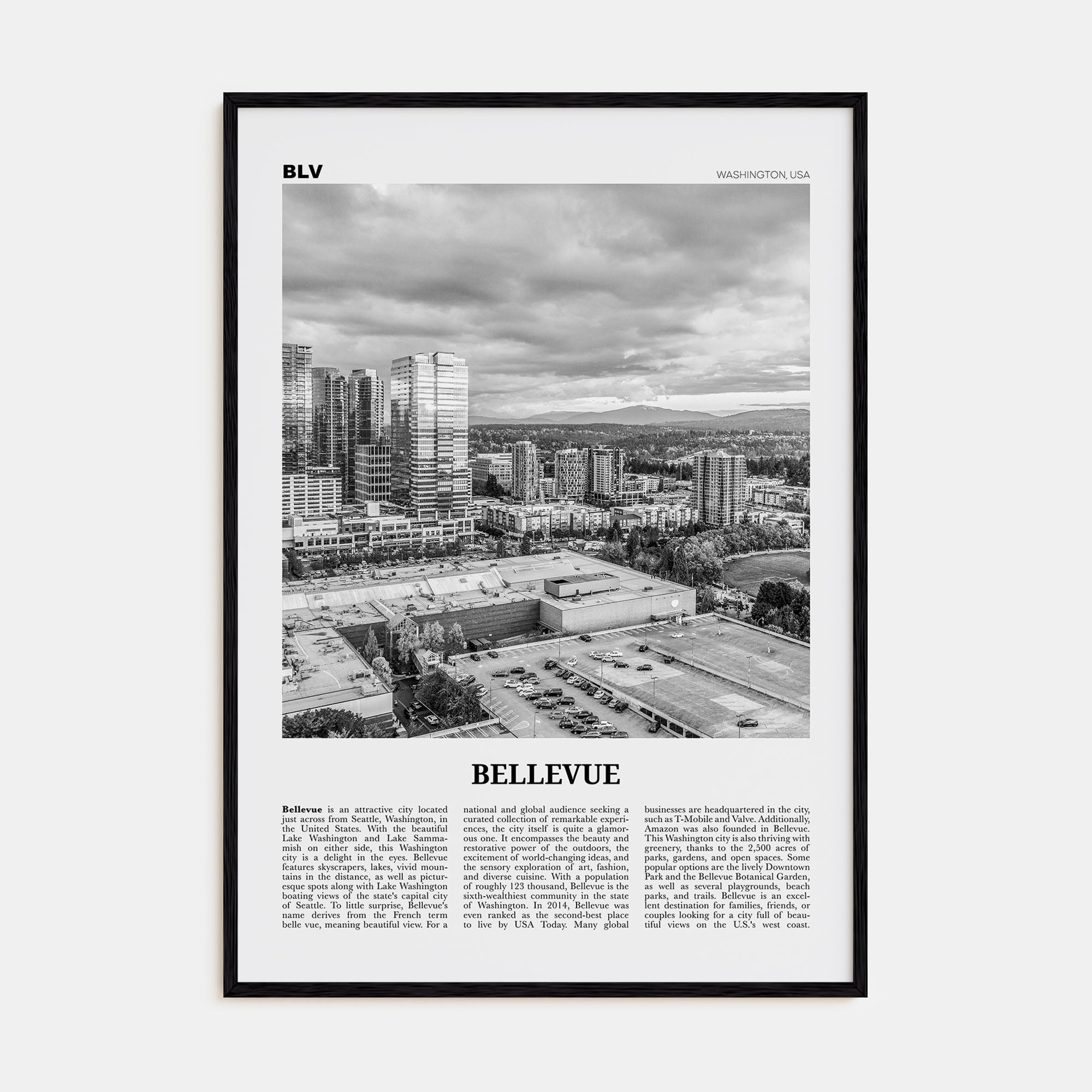Bellevue Travel B&W No 2 Poster