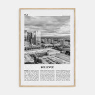 Bellevue Travel B&W No 2 Poster