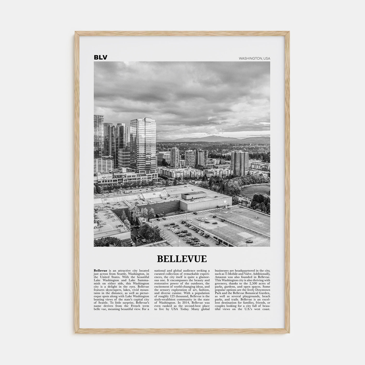 Bellevue Travel B&W No 2 Poster