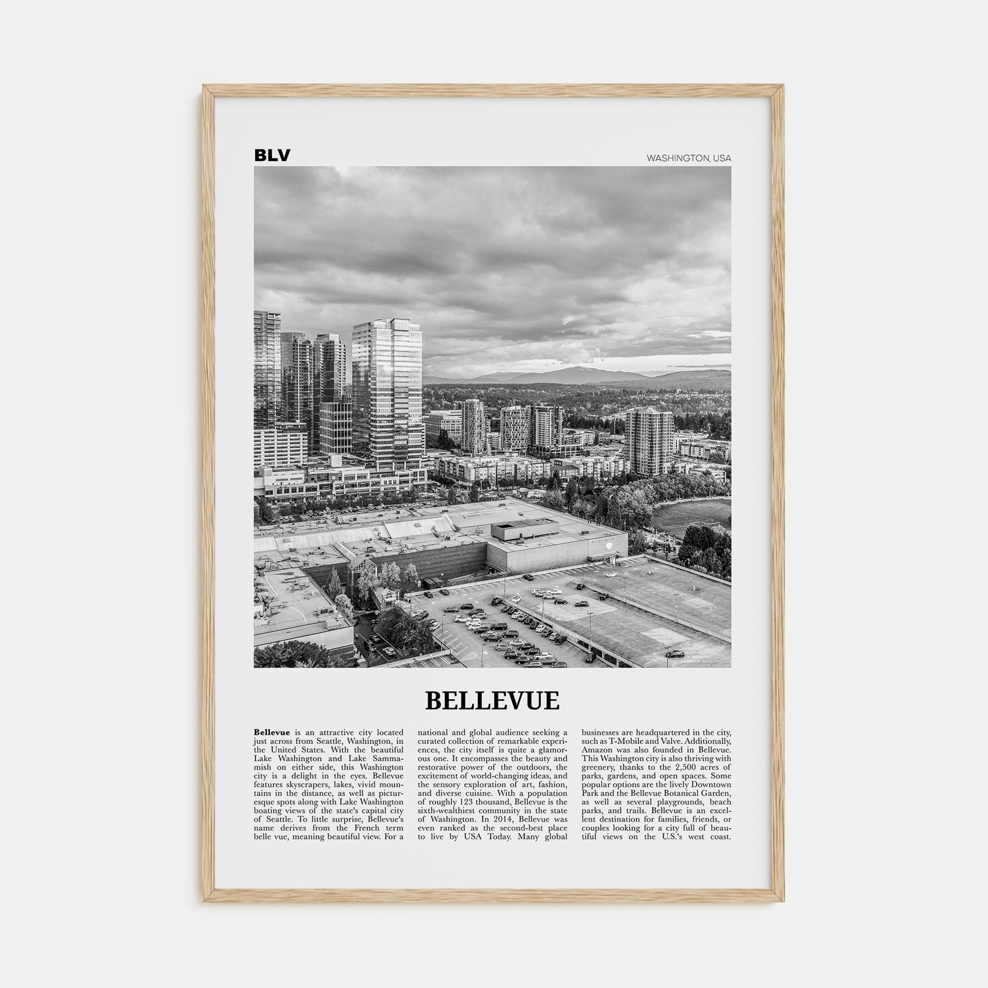 Bellevue Travel B&W No 2 Poster