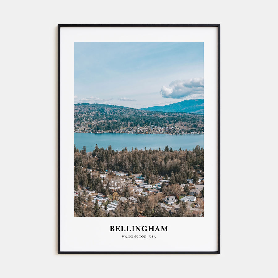 Bellingham Portrait Color Poster
