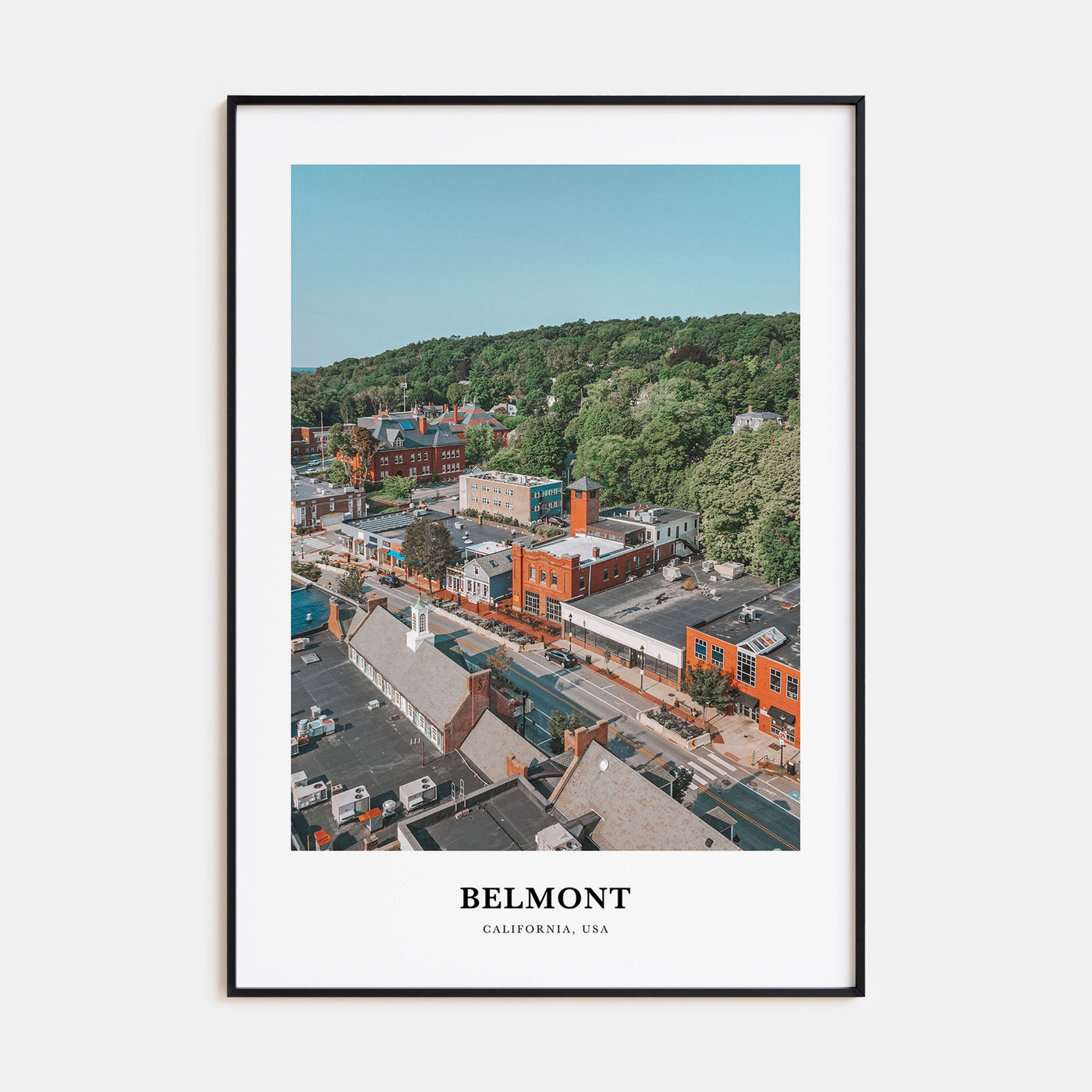 Belmont Portrait Color Poster