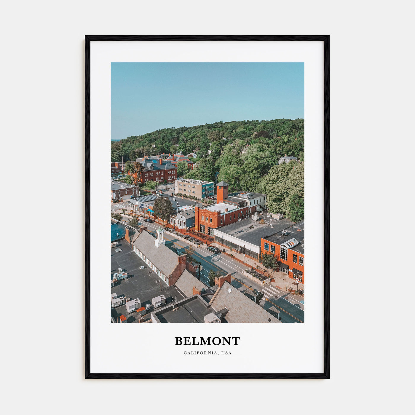 Belmont Portrait Color Poster