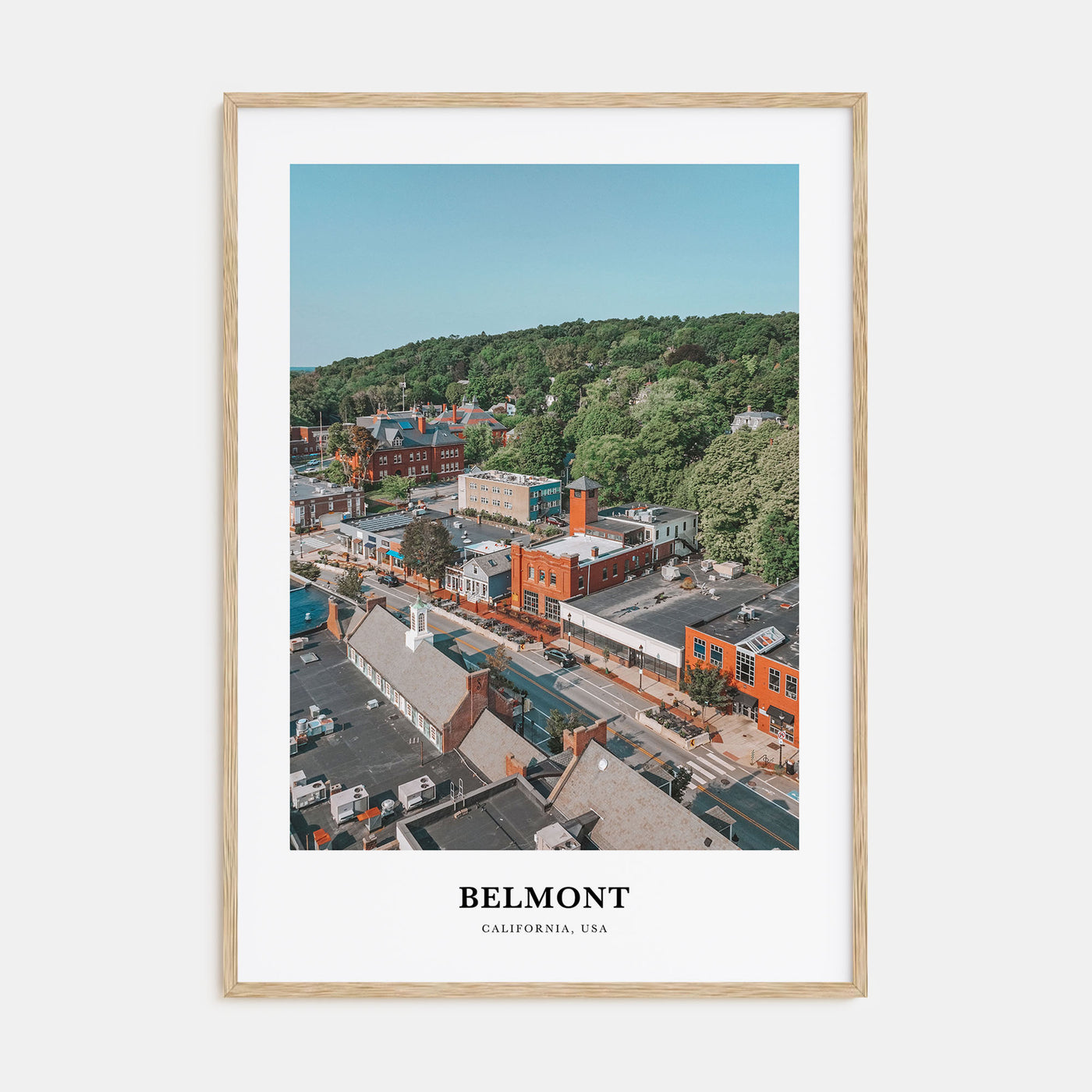 Belmont Portrait Color Poster