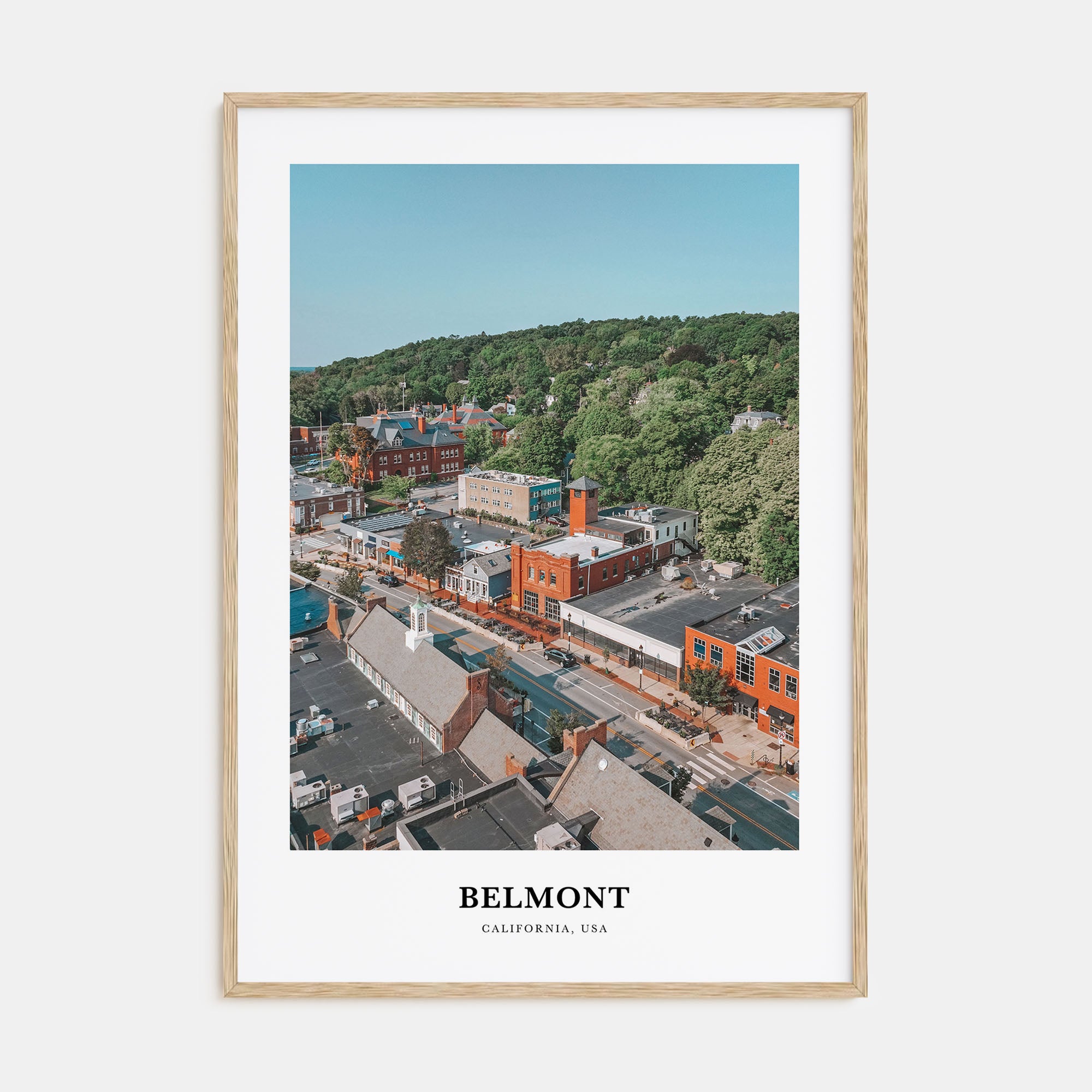 Belmont Portrait Color Poster