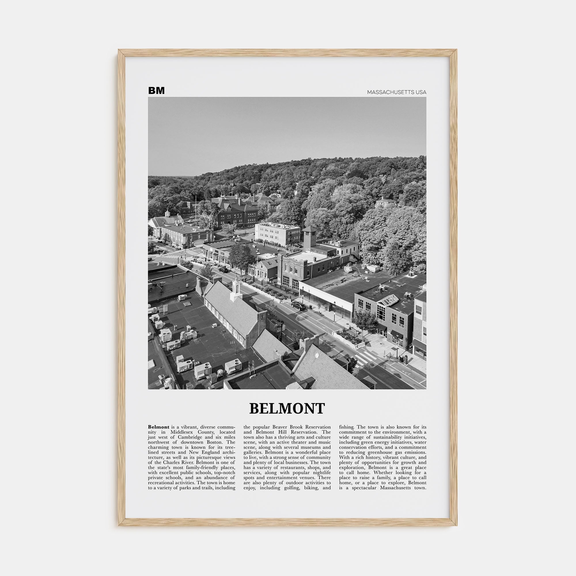 Belmont Travel B&W Poster