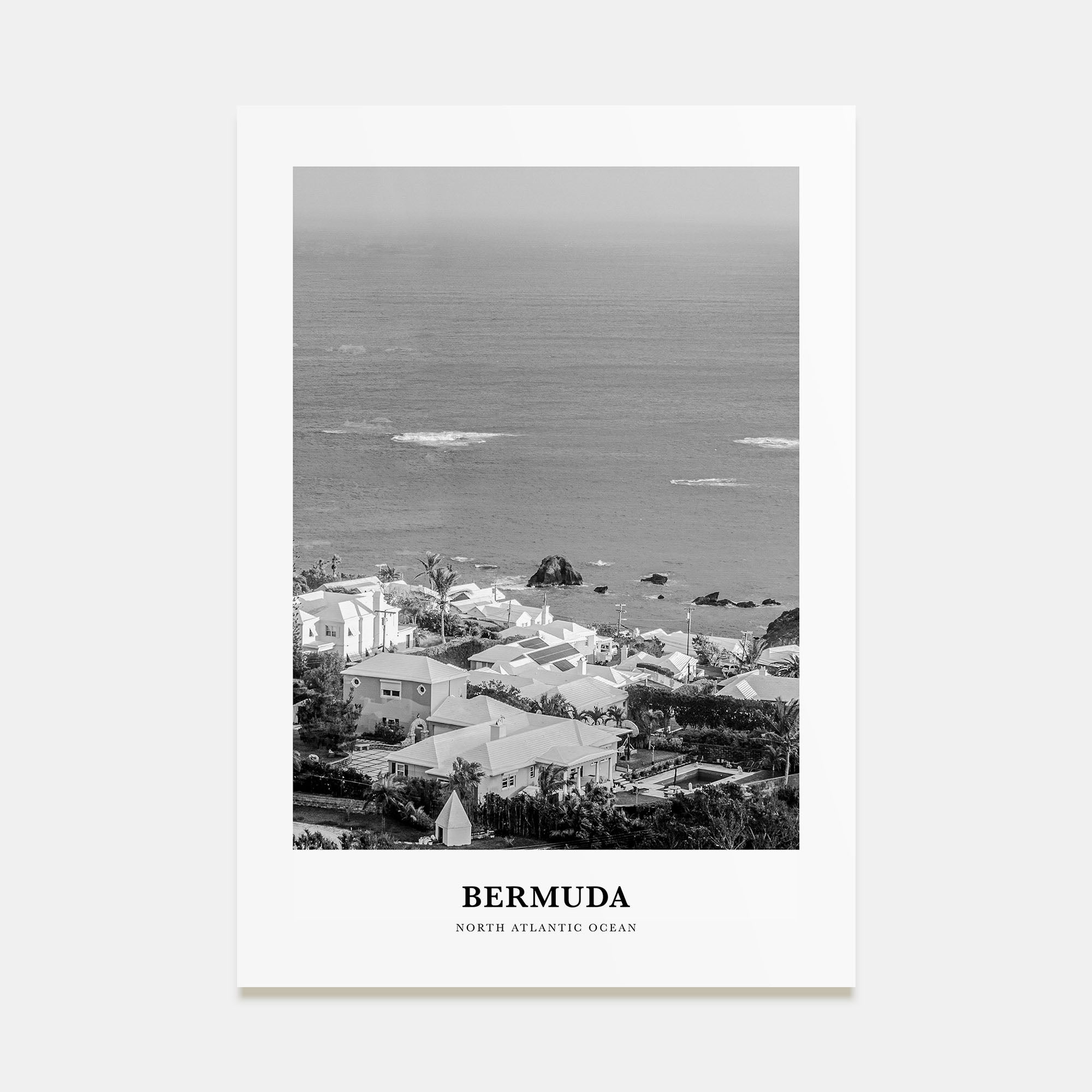 Bermuda Portrait B&W Poster