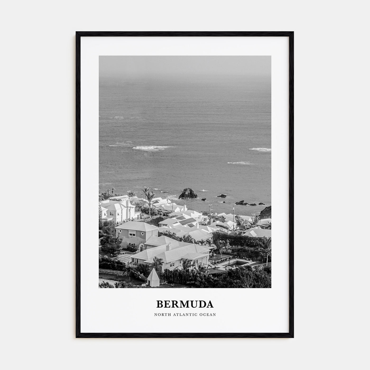 Bermuda Portrait B&W Poster