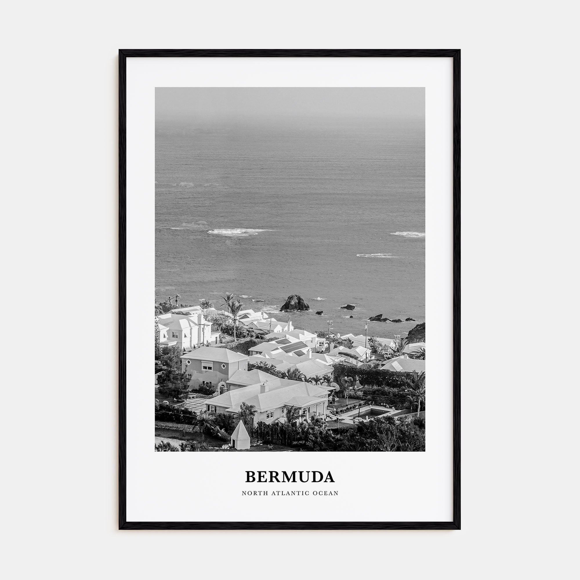 Bermuda Portrait B&W Poster