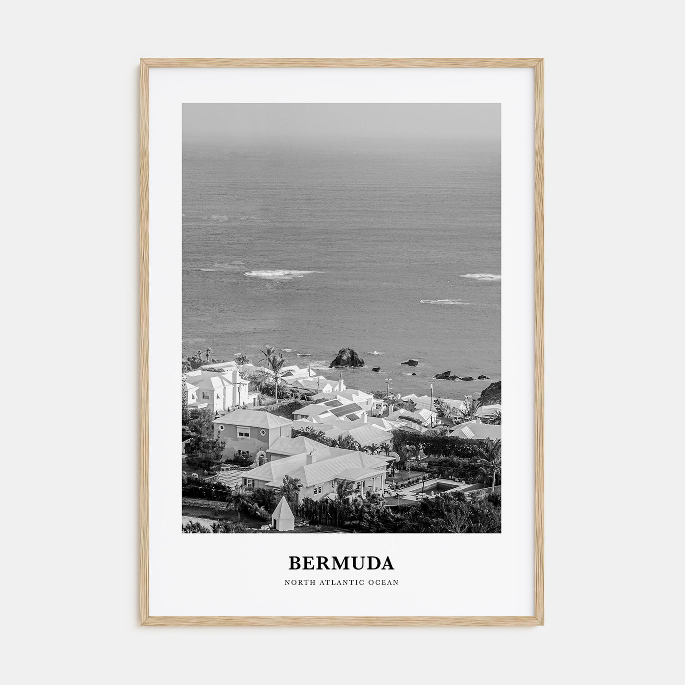 Bermuda Portrait B&W Poster