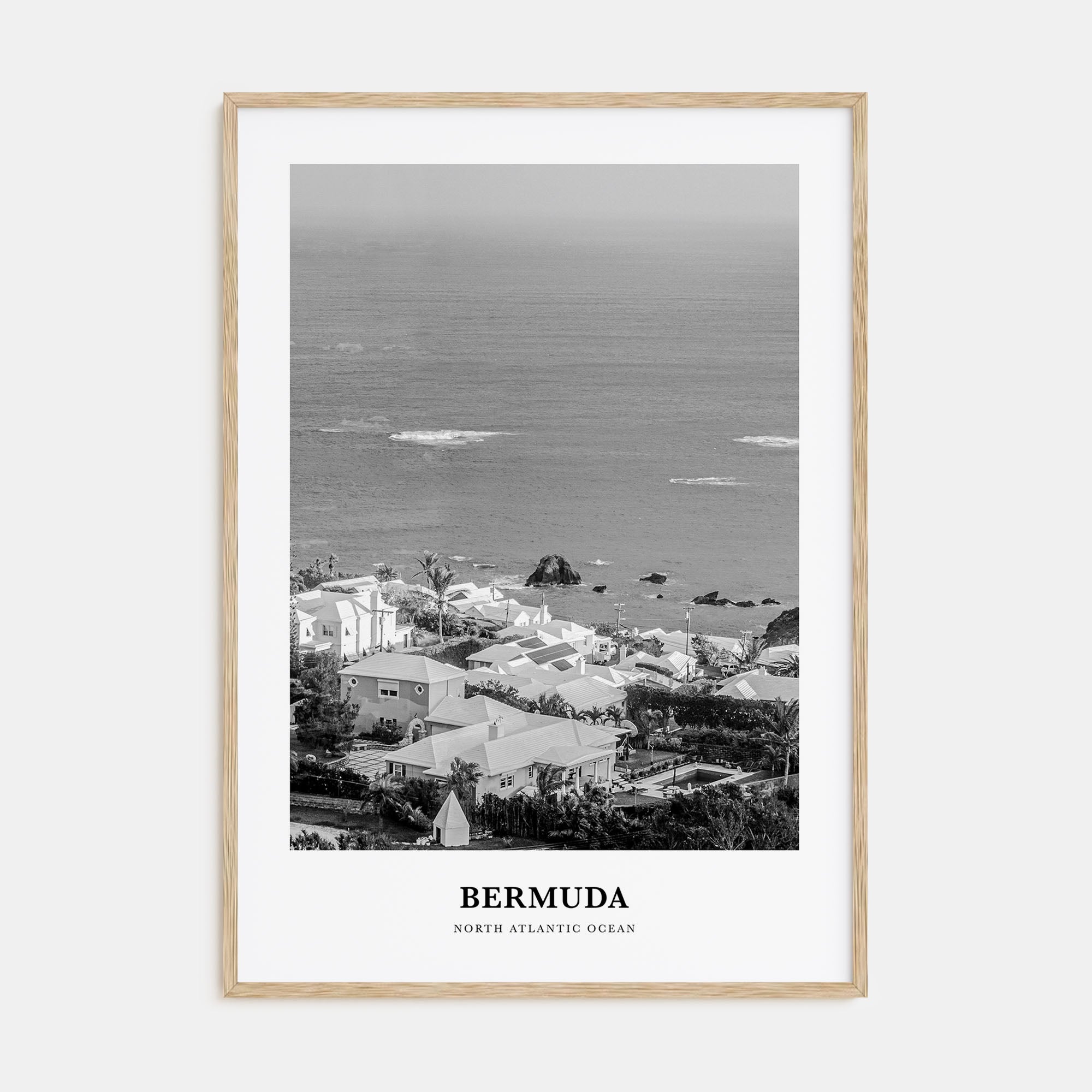 Bermuda Portrait B&W Poster