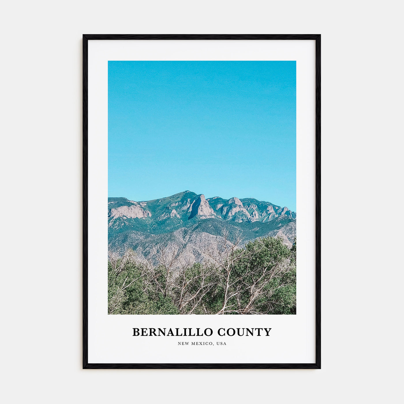 Bernalillo County Portrait Color Poster