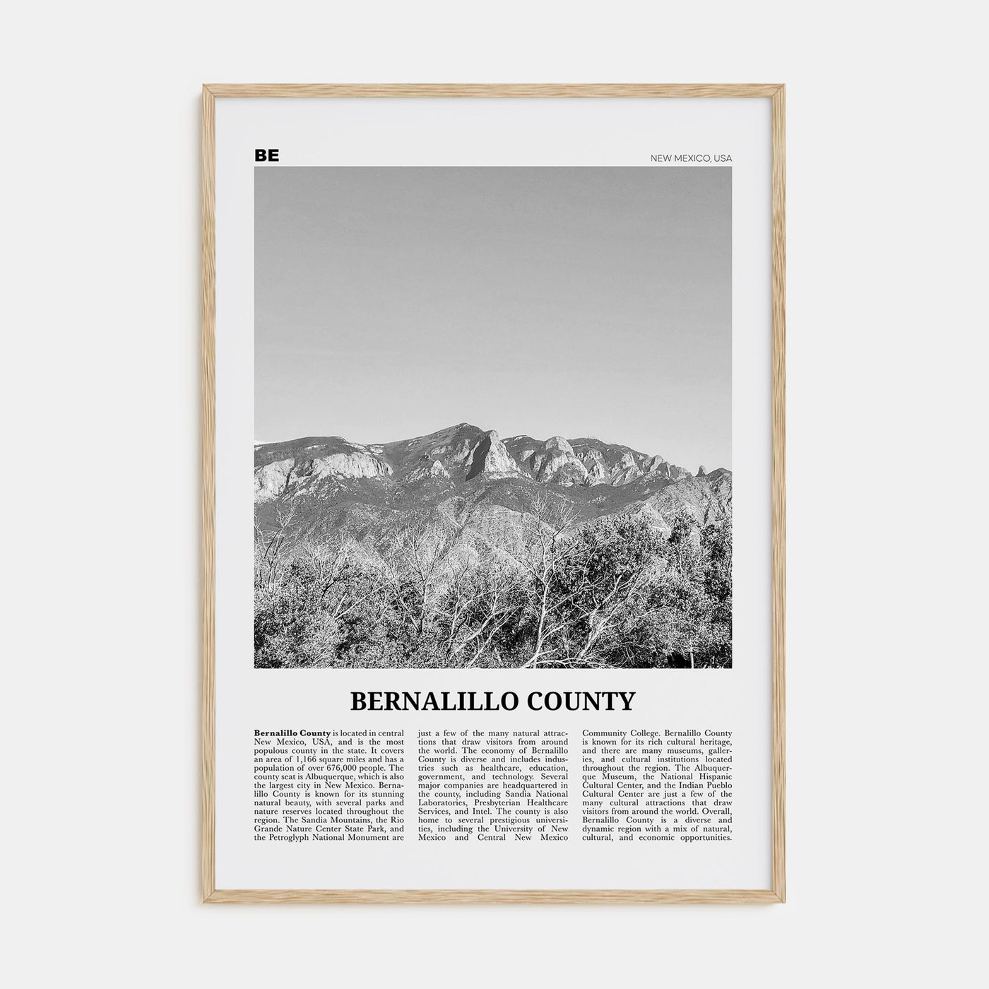 Bernalillo County Travel B&W Poster