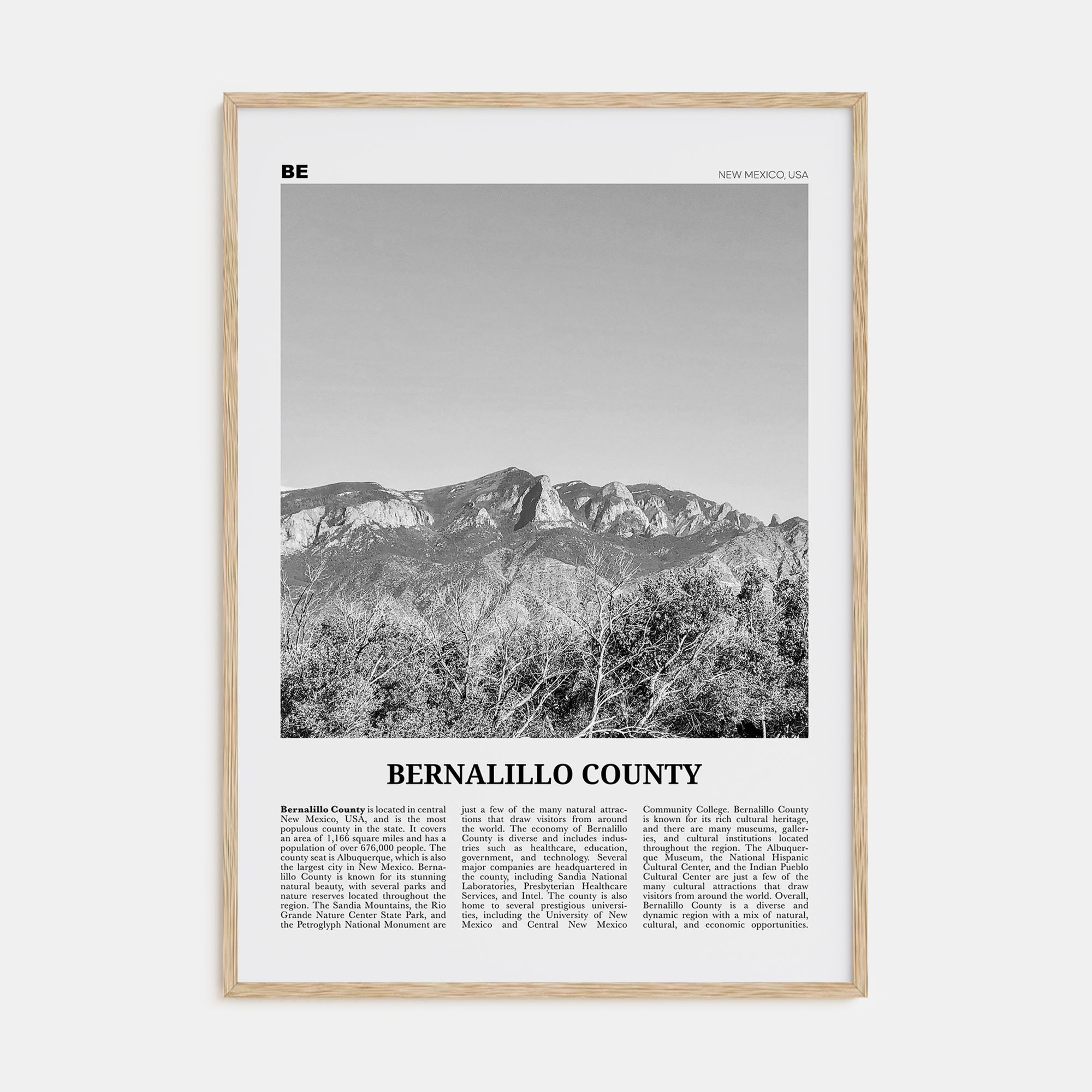 Bernalillo County Travel B&W Poster