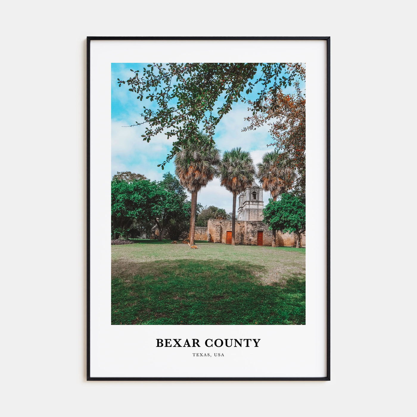 Bexar County Portrait Color Poster