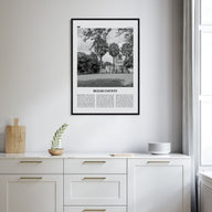 Bexar County Travel B&W Poster