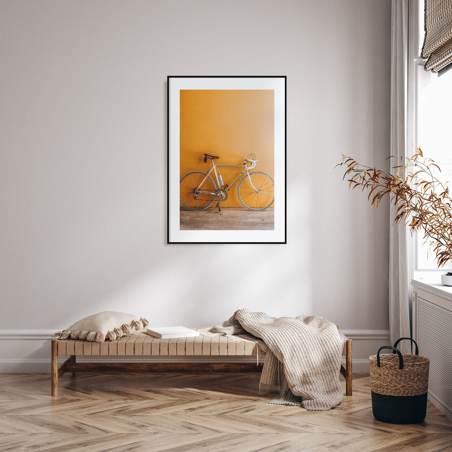 Bicycle Photo Color No 1 Poster