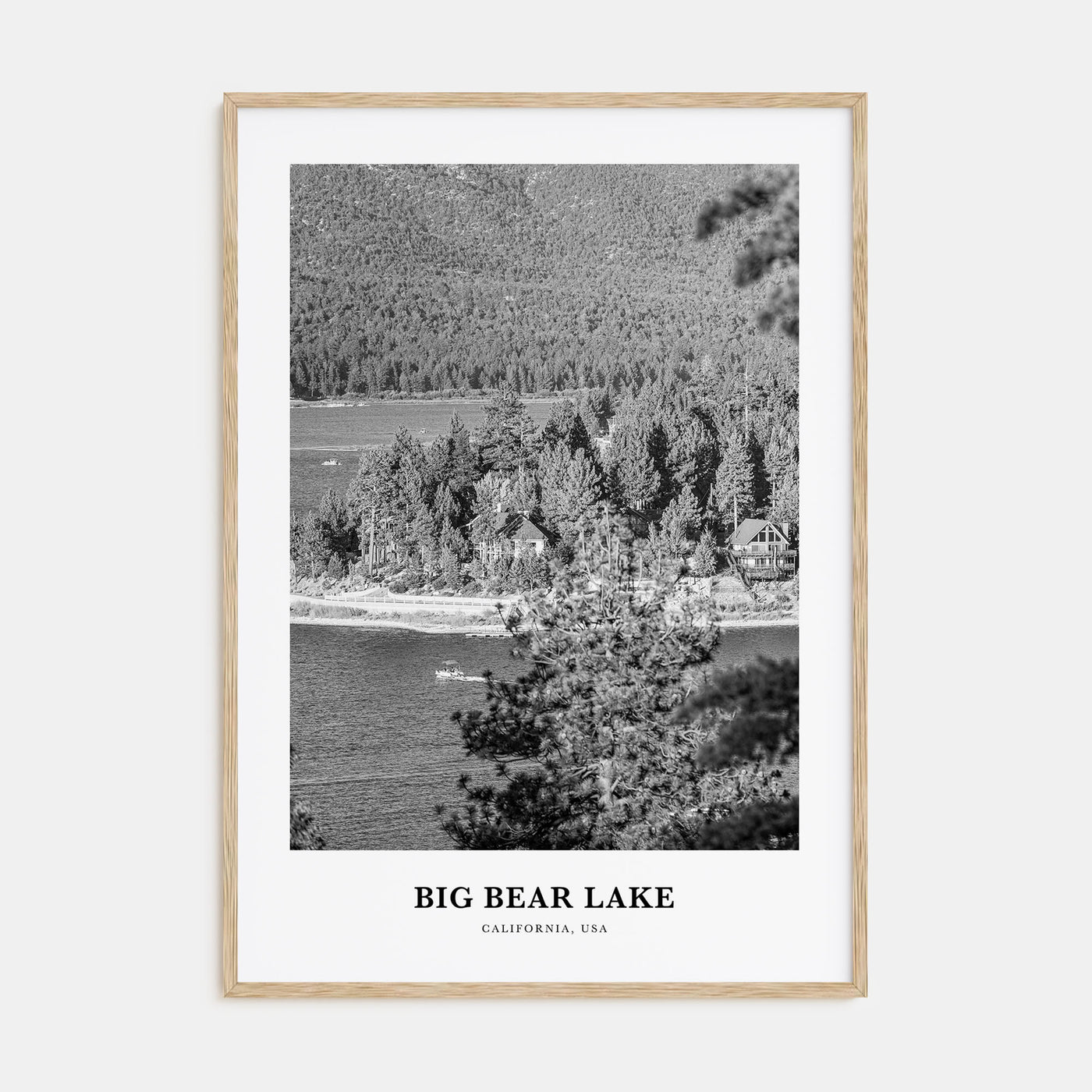 Big Bear Lake Portrait B&W No 1 Poster