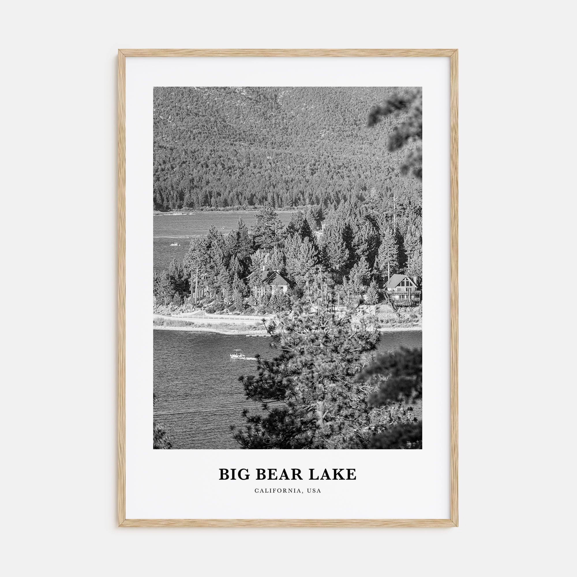 Big Bear Lake Portrait B&W No 1 Poster