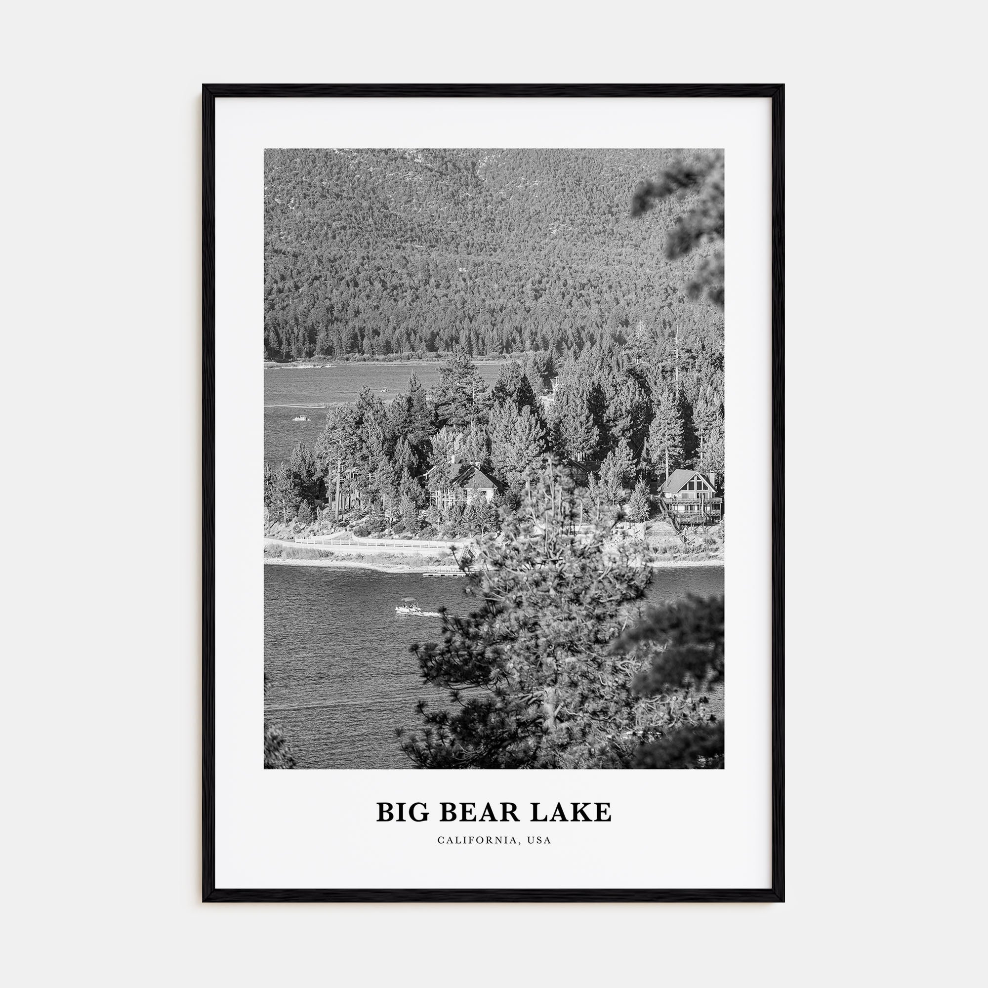 Big Bear Lake Portrait B&W No 1 Poster