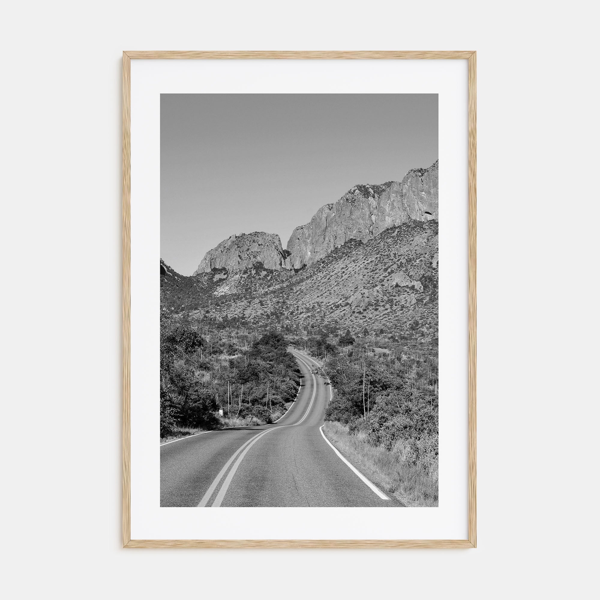 Big Bend National Park Photo B&W Poster
