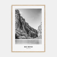 Big Bend National Park Portrait B&W Poster