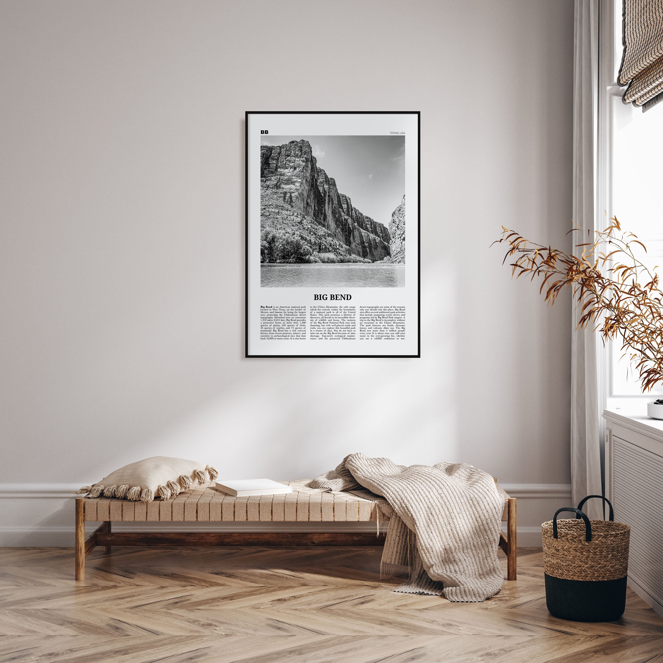 Big Bend National Park Travel B&W Poster