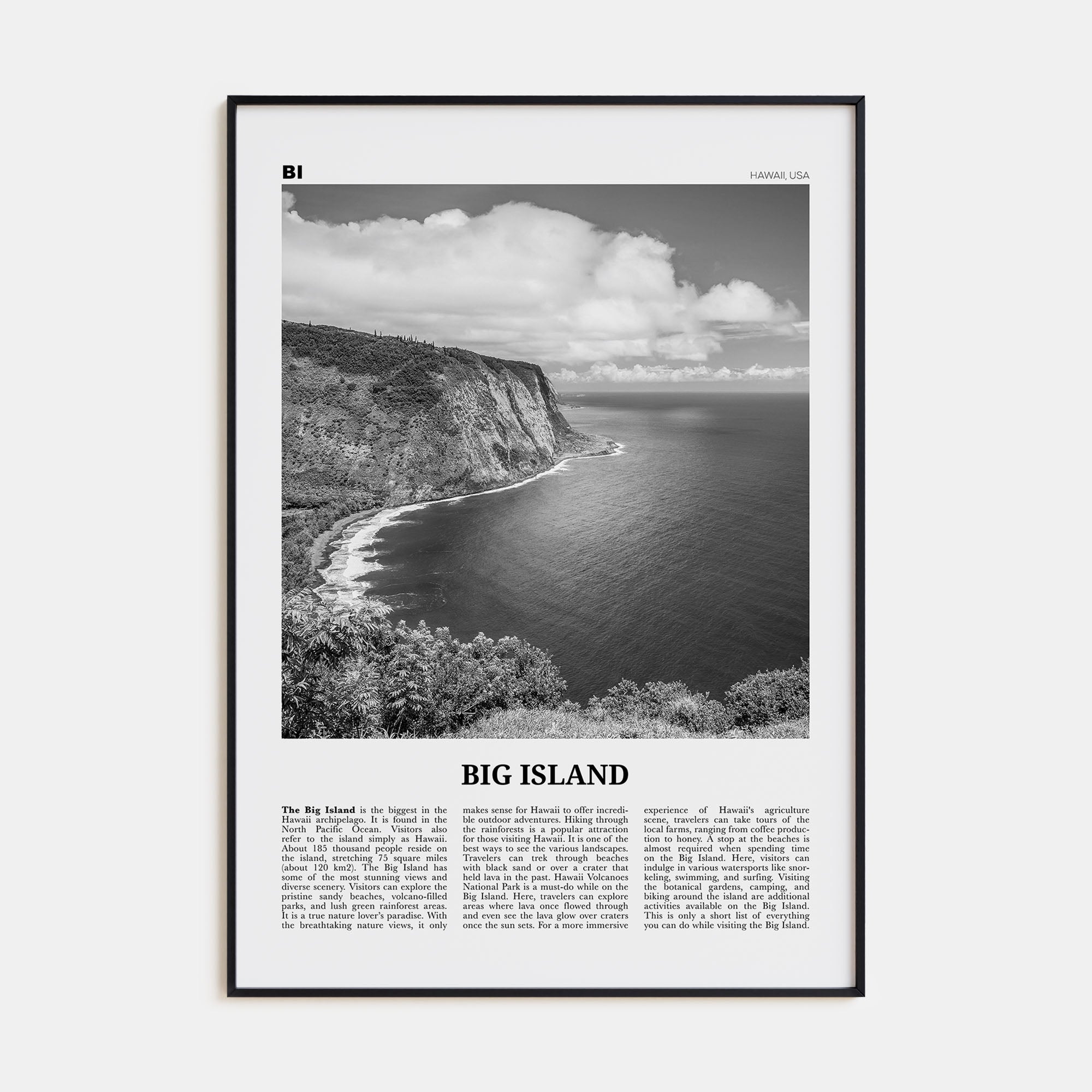Big Island Travel B&W Poster