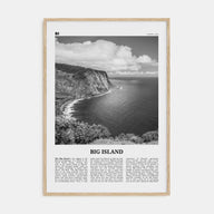 Big Island Travel B&W Poster