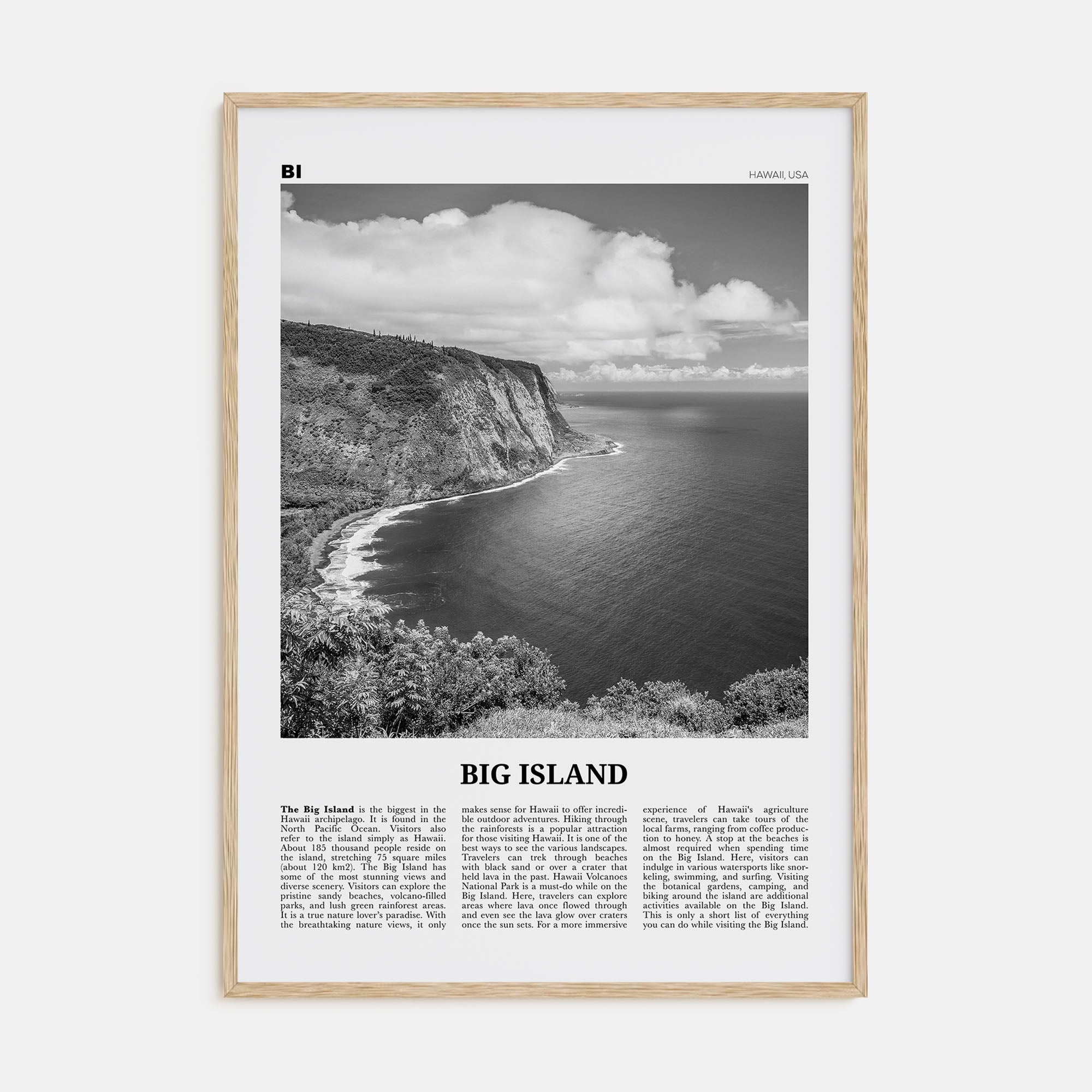 Big Island Travel B&W Poster
