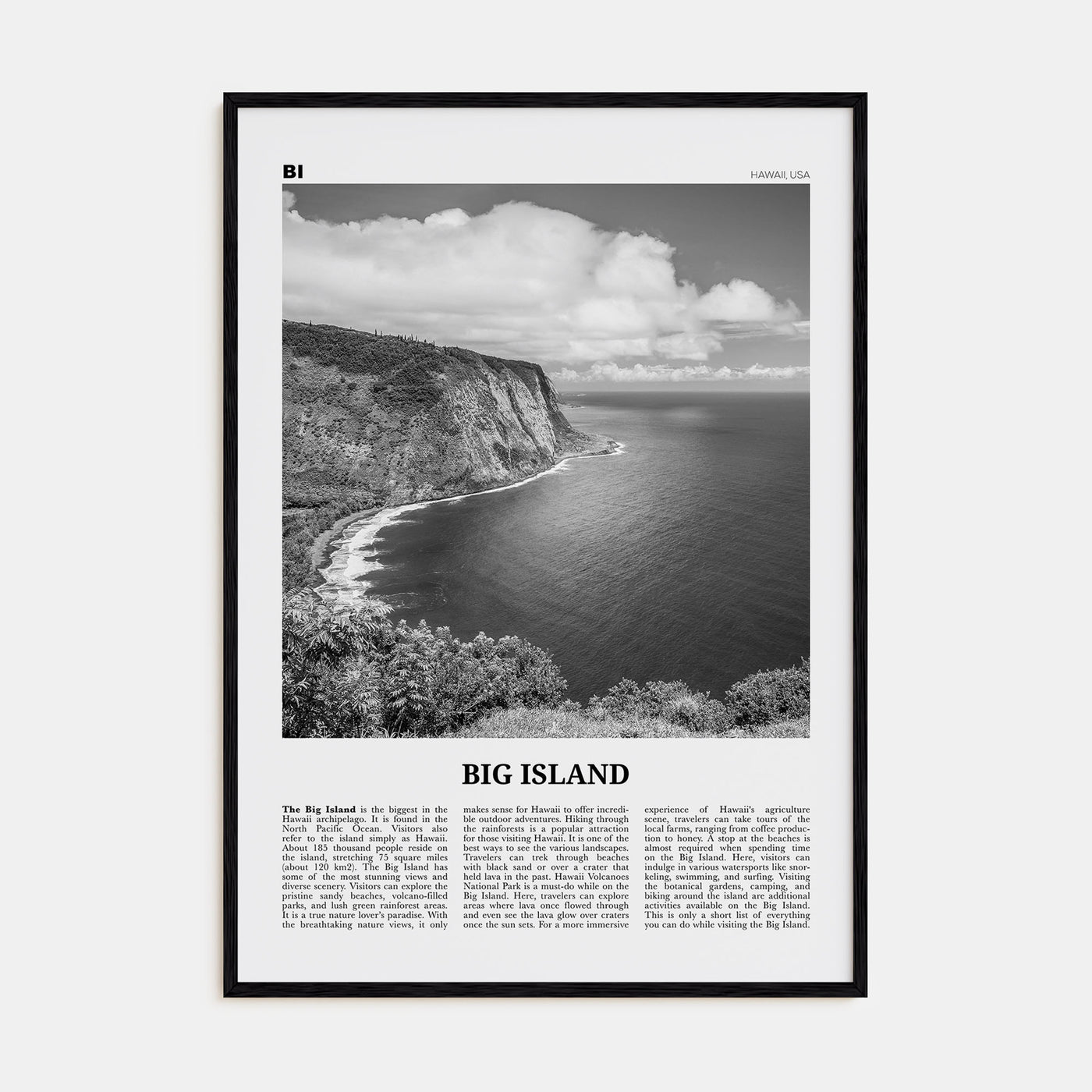 Big Island Travel B&W Poster