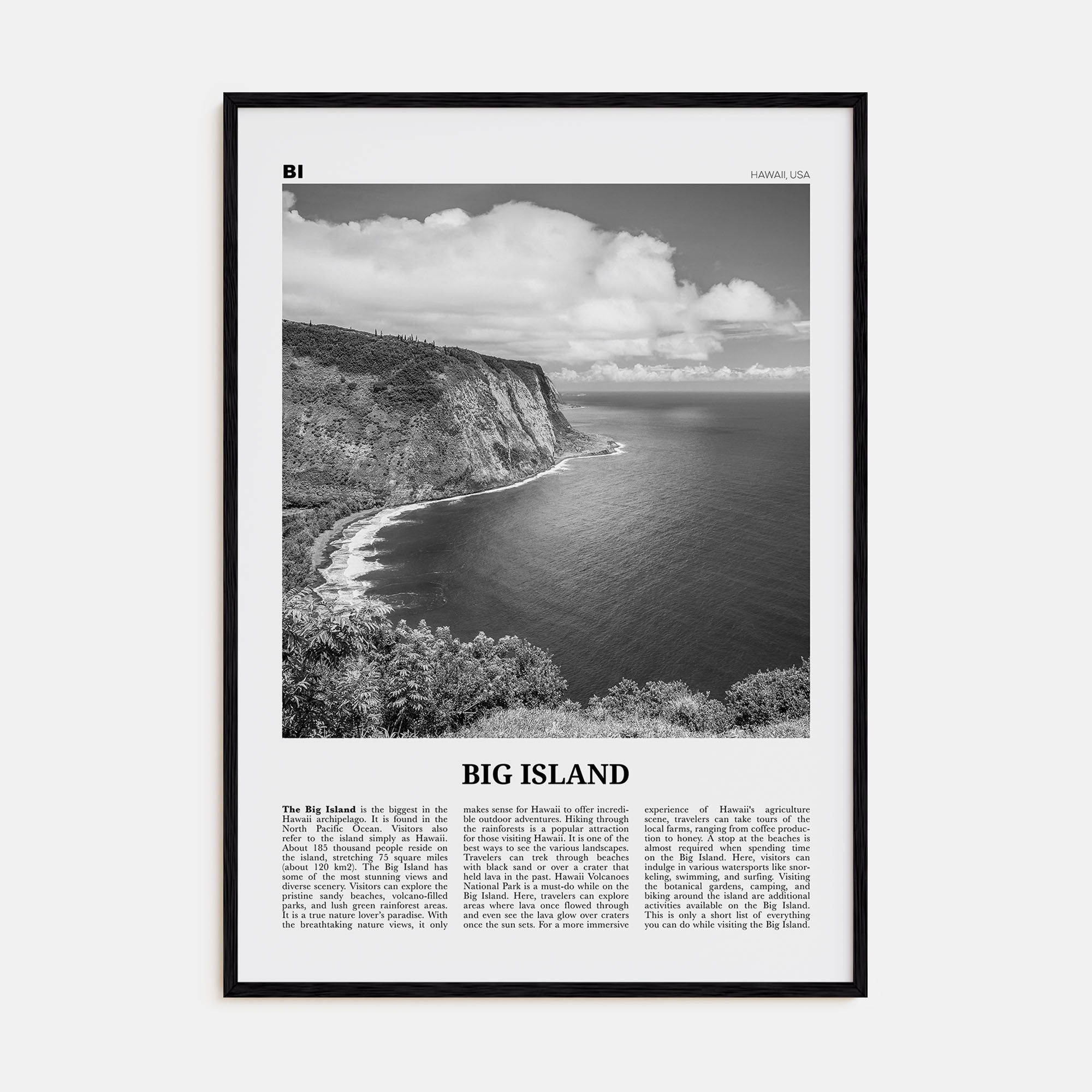 Big Island Travel B&W Poster