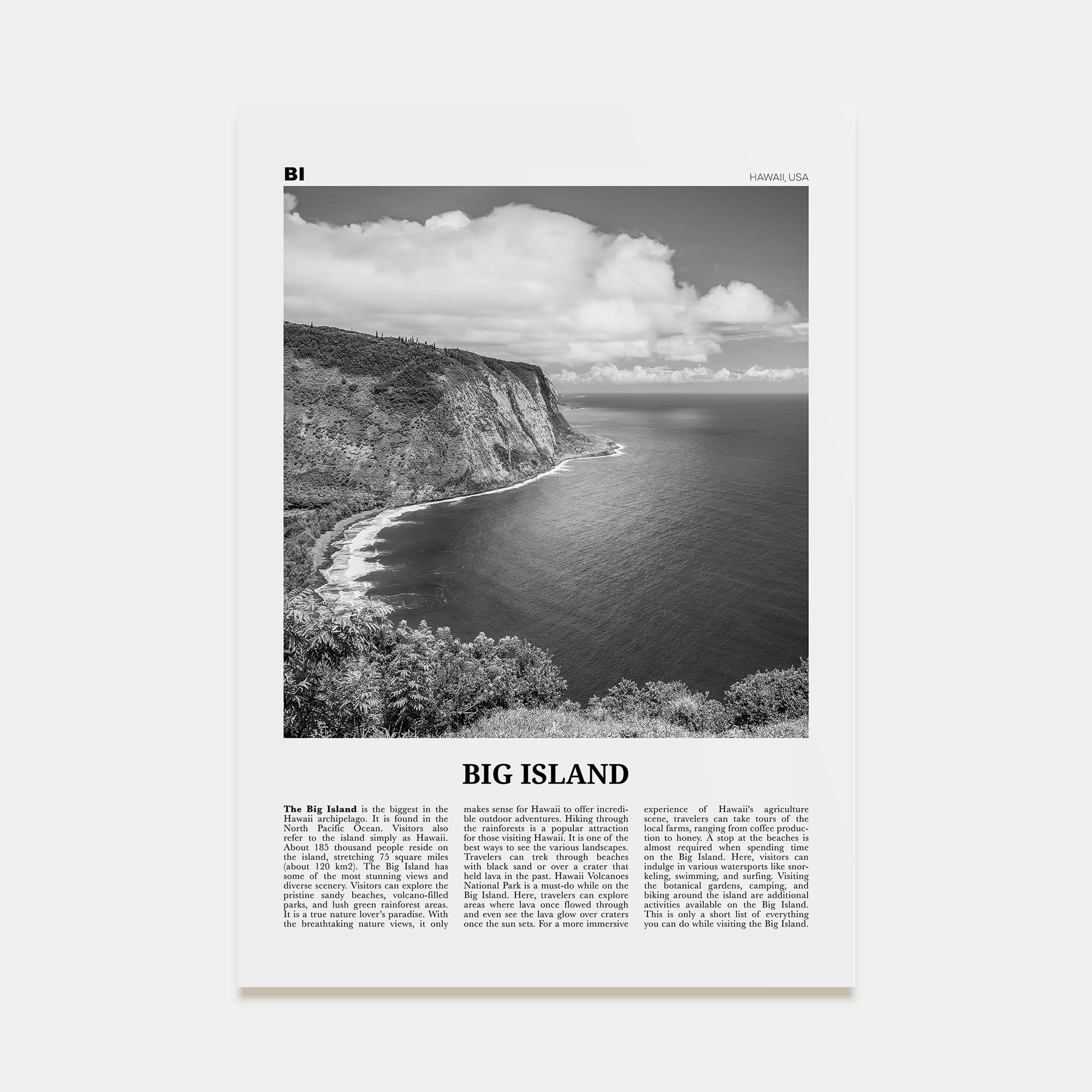 Big Island Travel B&W Poster