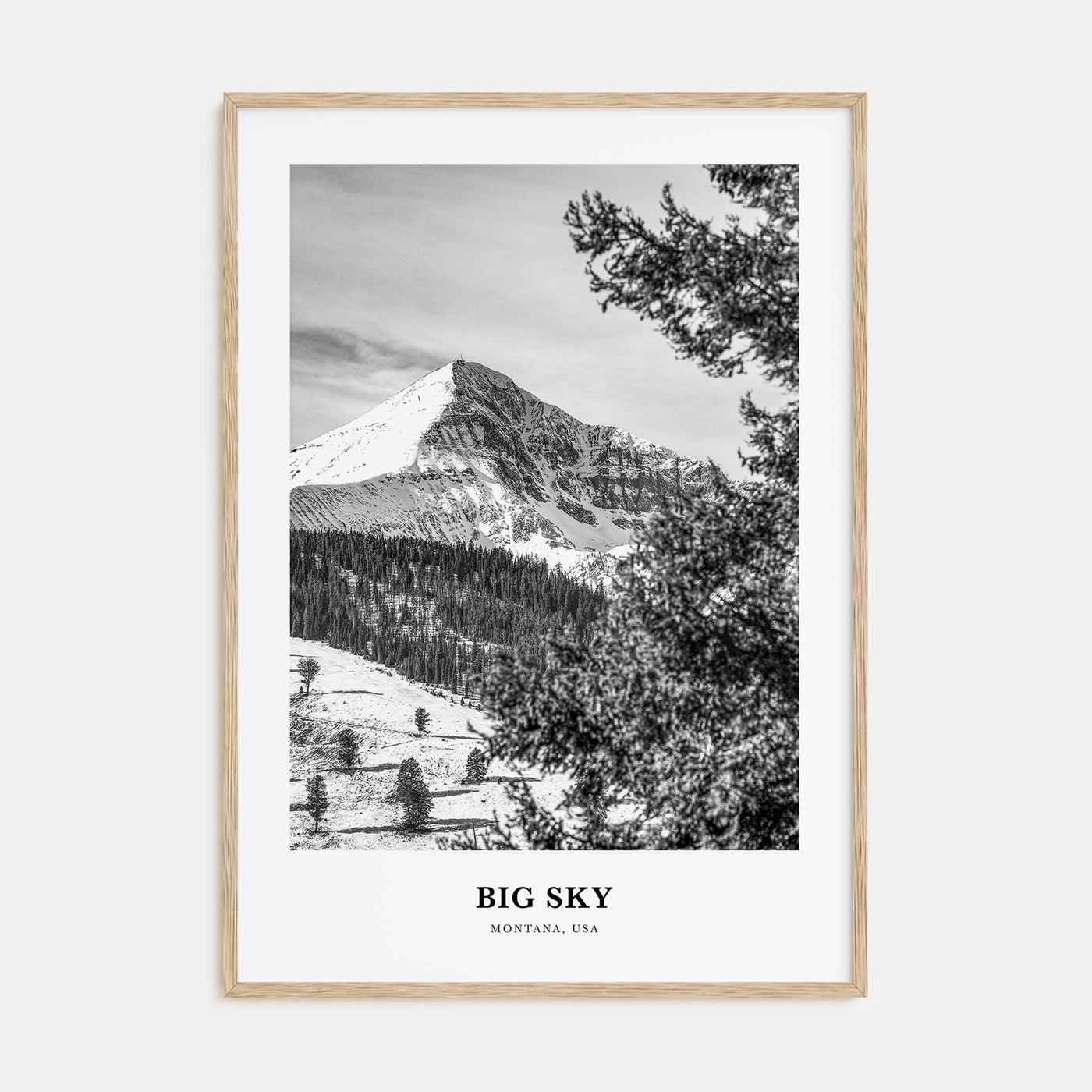 Big Sky Portrait B&W Poster