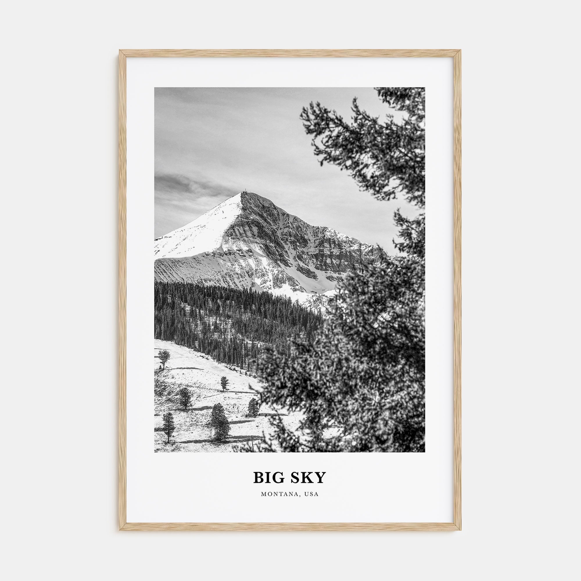 Big Sky Portrait B&W Poster
