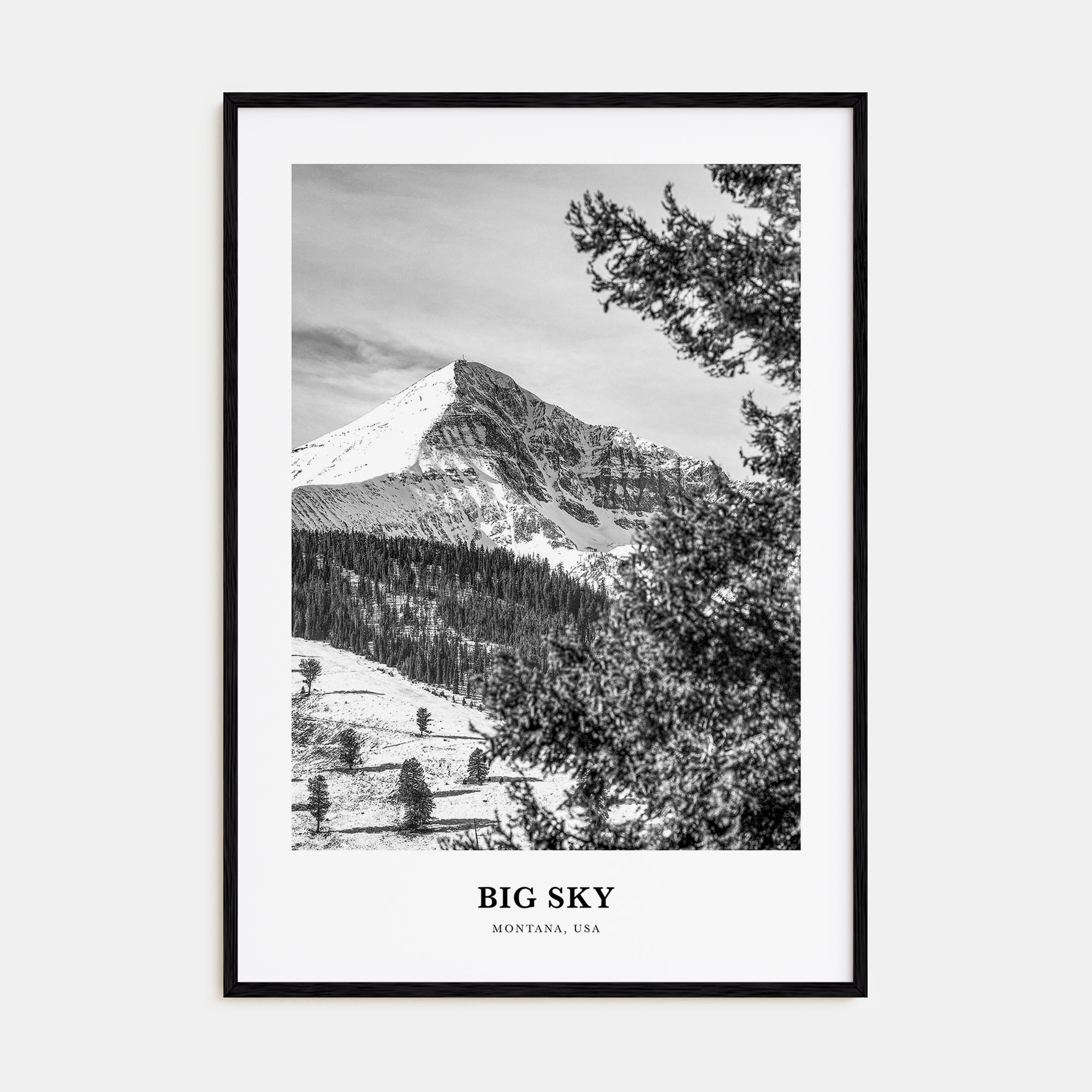 Big Sky Portrait B&W Poster