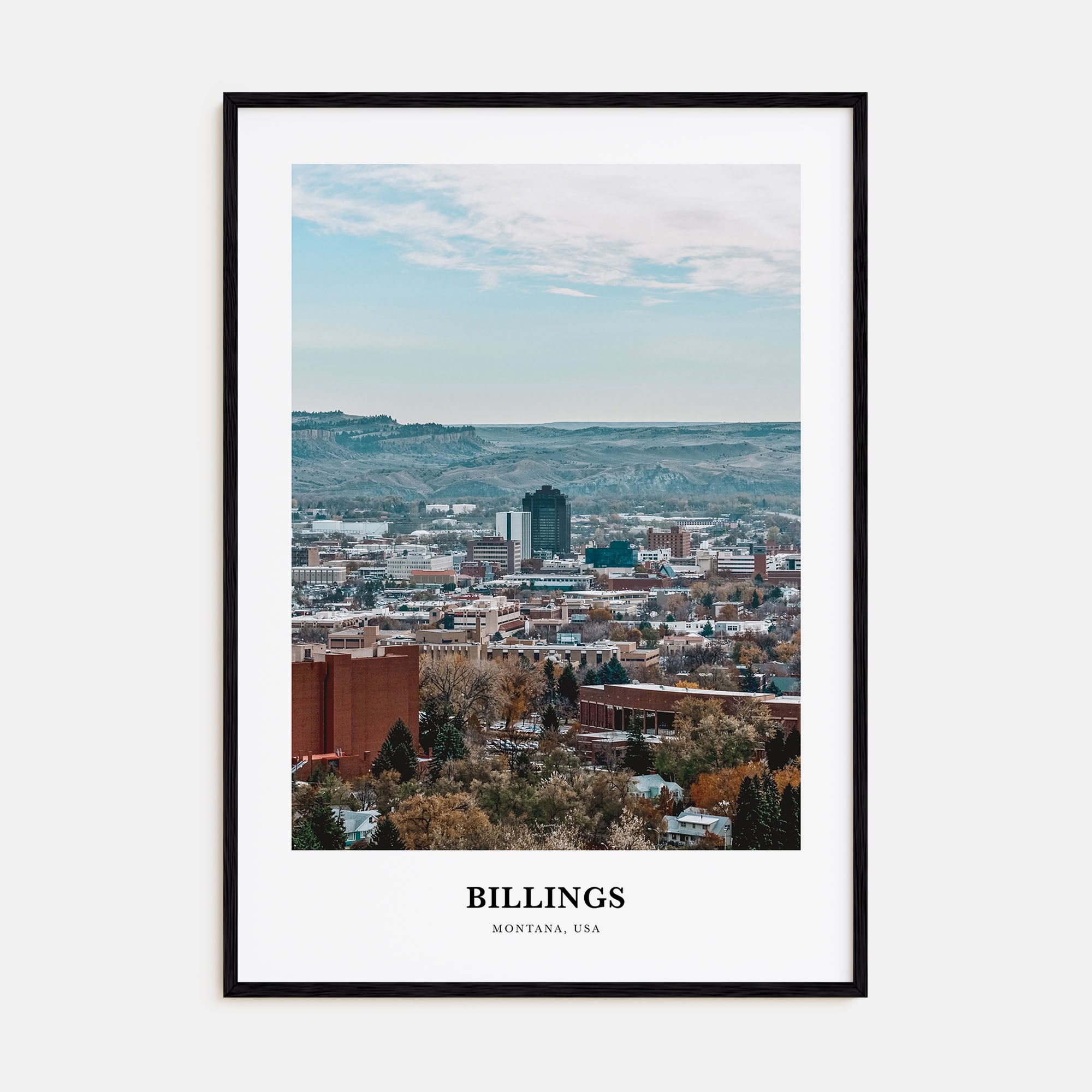 Billings Portrait Color Poster