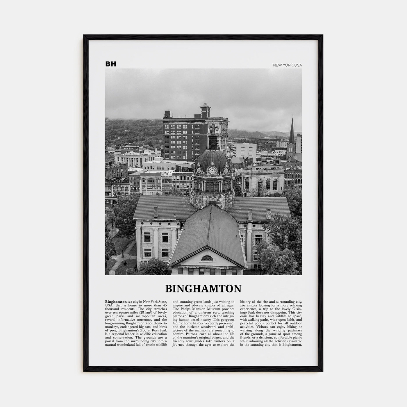 Binghamton Travel B&W Poster