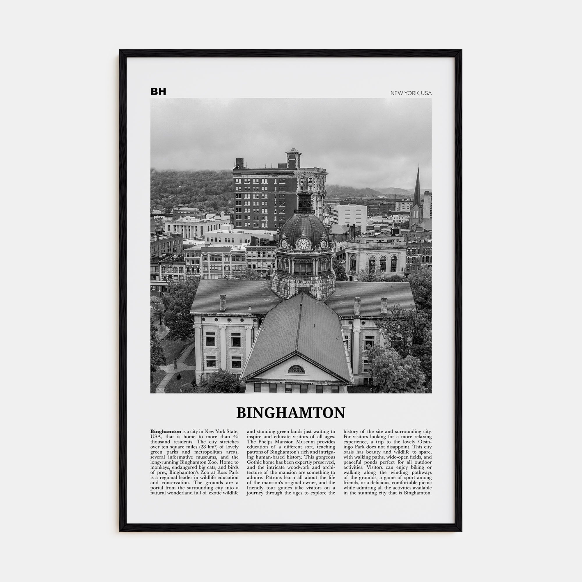 Binghamton Travel B&W Poster