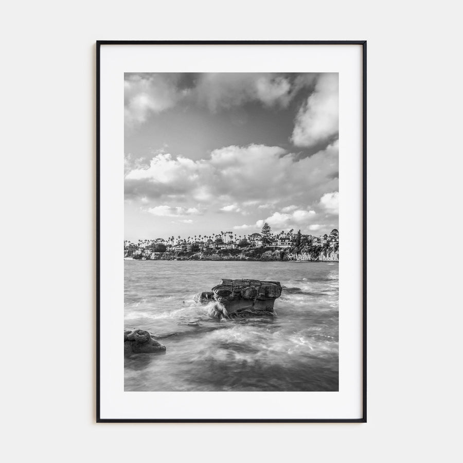 Bird Rock Photo B&W Poster