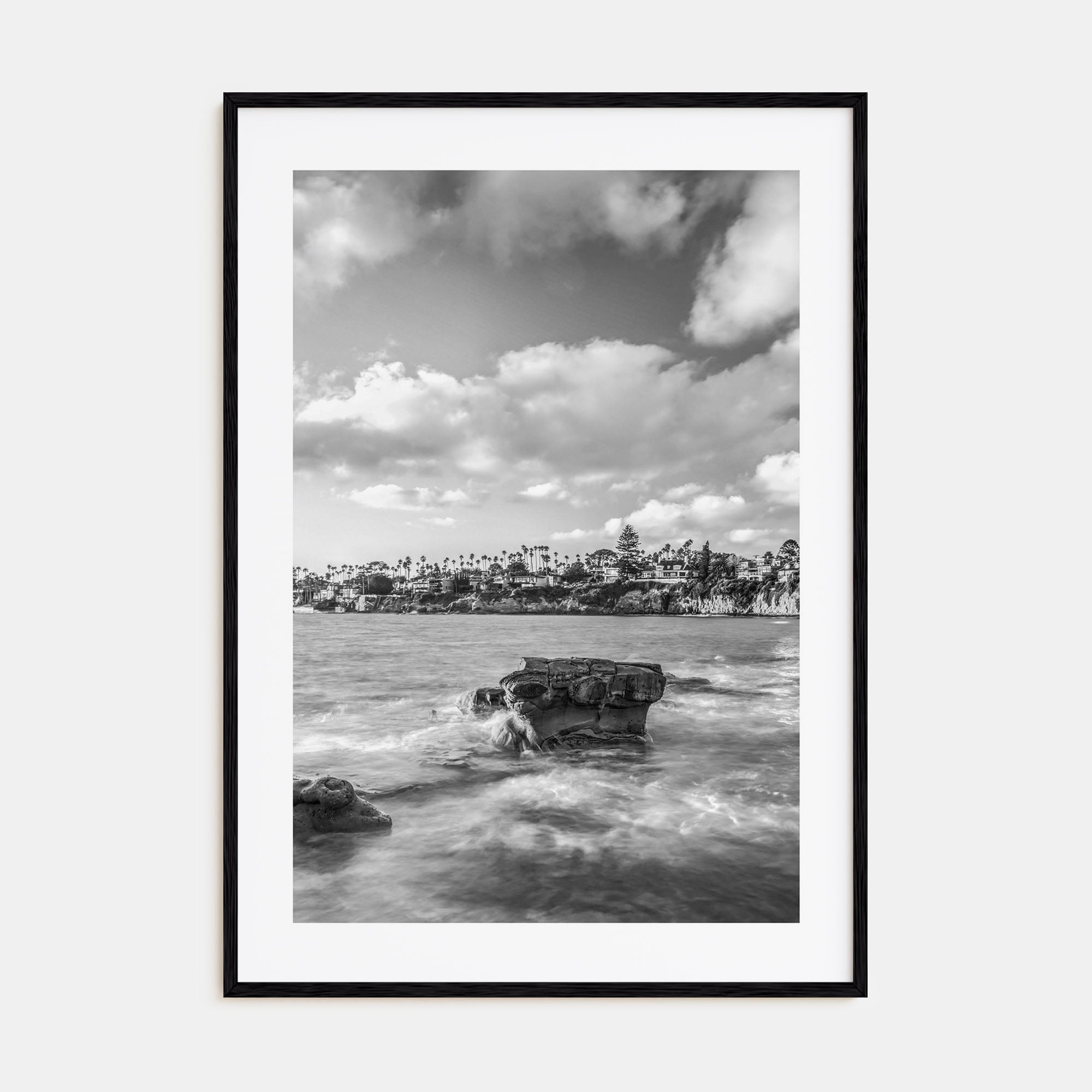 Bird Rock Photo B&W Poster