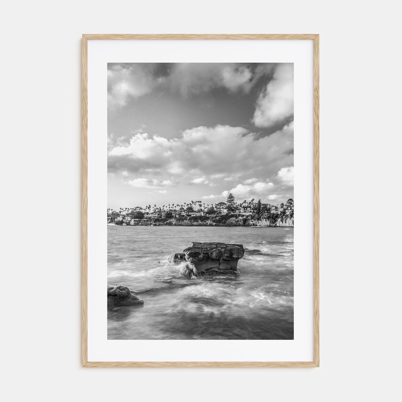 Bird Rock Photo B&W Poster