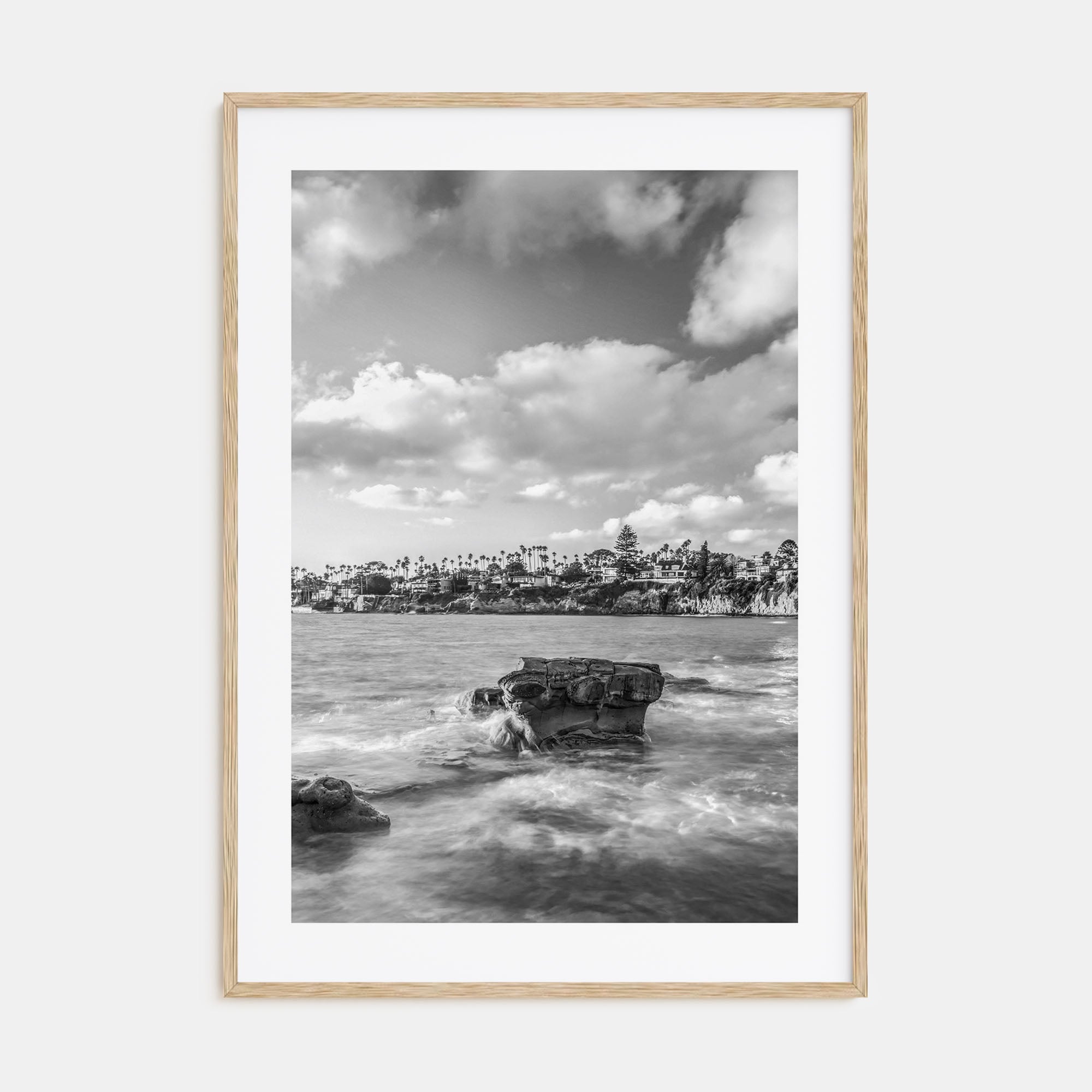 Bird Rock Photo B&W Poster