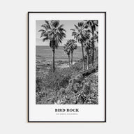 Bird Rock Portrait B&W No 1 Poster