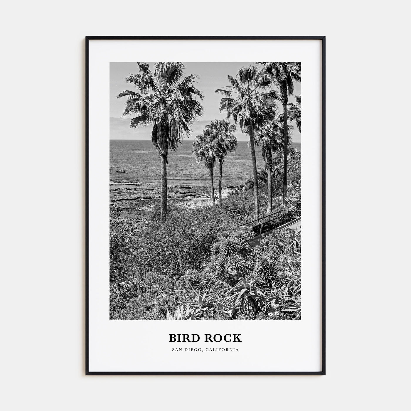Bird Rock Portrait B&W No 1 Poster