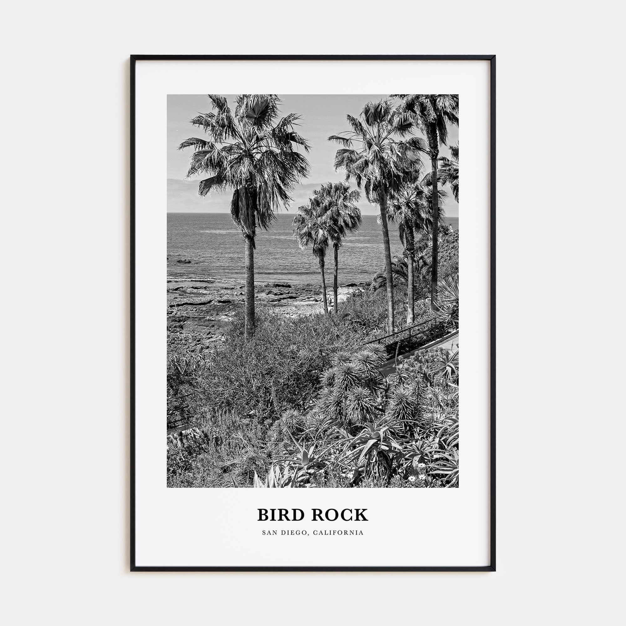 Bird Rock Portrait B&W No 1 Poster
