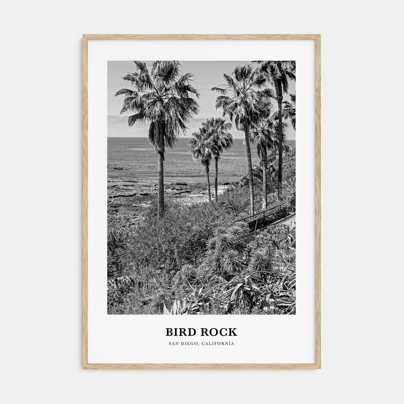 Bird Rock Portrait B&W No 1 Poster