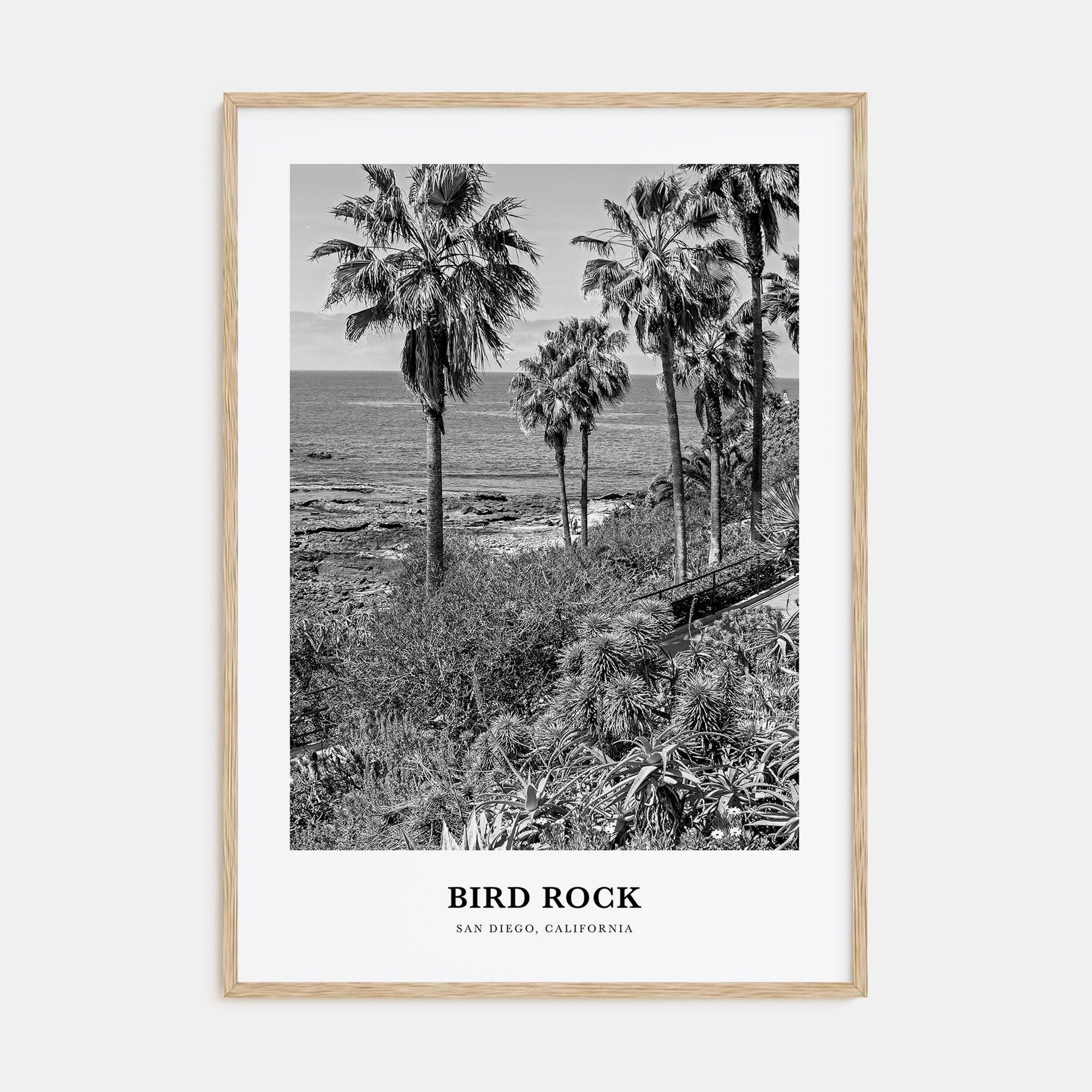 Bird Rock Portrait B&W No 1 Poster