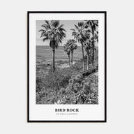 Bird Rock Portrait B&W No 1 Poster