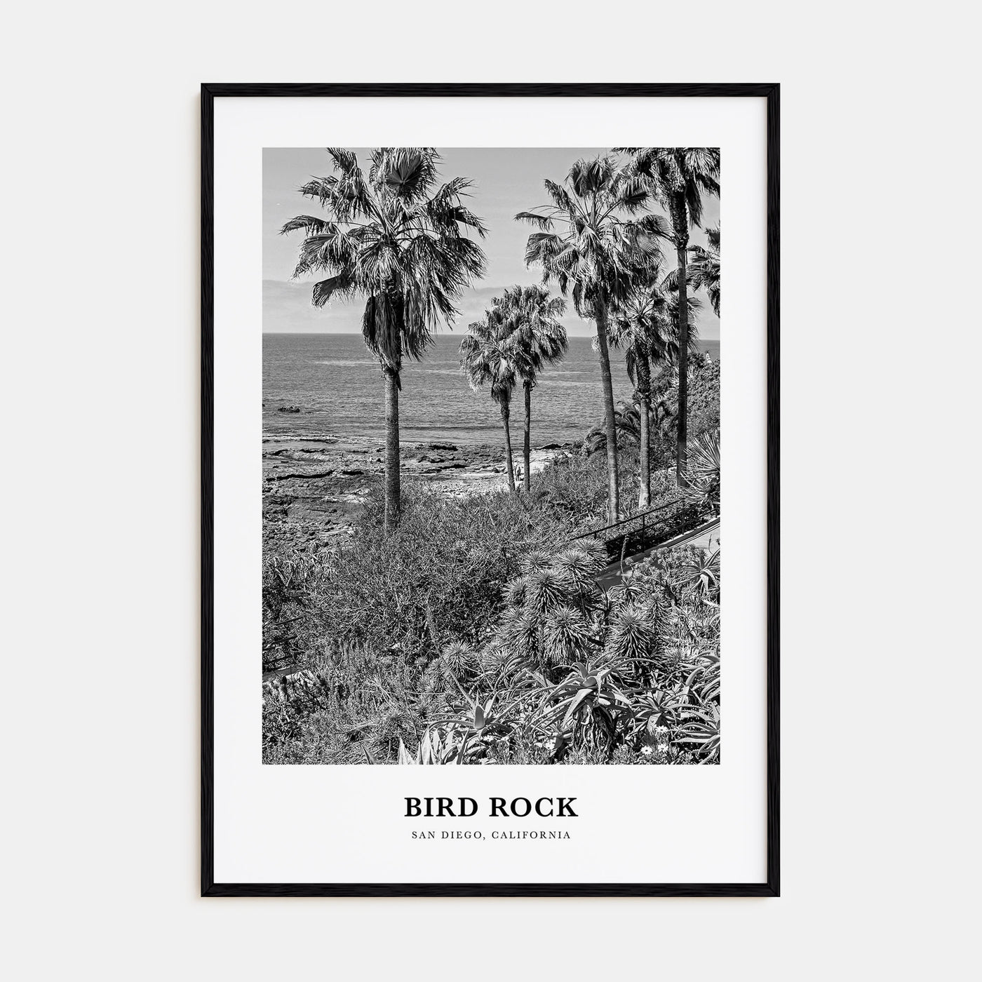 Bird Rock Portrait B&W No 1 Poster
